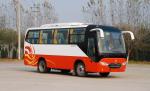 Zhongtong LCK6798D4 2009 года